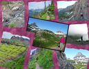 photo thumbnail #10