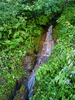 photo thumbnail #11
