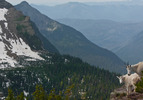 photo thumbnail #15