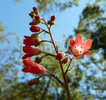Featured Detail Photo