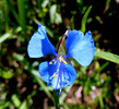 photo thumbnail #13