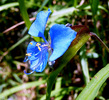 photo thumbnail #14