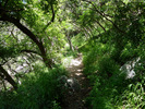 photo thumbnail #15