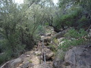 photo thumbnail #5