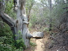photo thumbnail #6