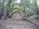 photo thumbnail #14
