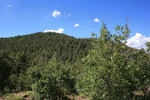 photo thumbnail #6