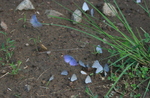 photo thumbnail #13