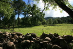 photo thumbnail #14