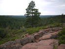 photo thumbnail #2