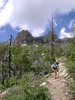 photo thumbnail #12