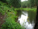 photo thumbnail #3
