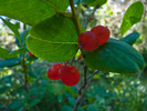 photo thumbnail #13