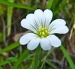 photo thumbnail #14