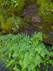 Featured Detail Photo