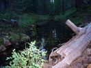 photo thumbnail #1