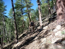photo thumbnail #4