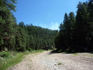 photo thumbnail #8