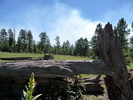 photo thumbnail #11