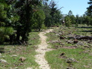 photo thumbnail #15