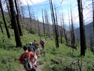 photo thumbnail #4