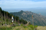 photo thumbnail #5