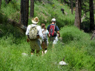 photo thumbnail #15