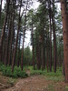 photo thumbnail #3