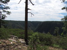 photo thumbnail #12