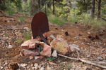 photo thumbnail #1