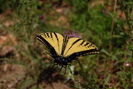photo thumbnail #11