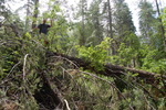 photo thumbnail #3