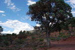 photo thumbnail #10