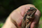 photo thumbnail #3
