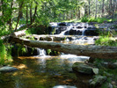 photo thumbnail #6