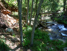 photo thumbnail #11