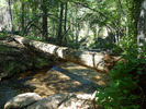 photo thumbnail #12