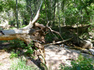 photo thumbnail #13