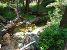 photo thumbnail #14