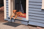 photo thumbnail #11