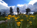 photo thumbnail #2