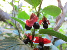 photo thumbnail #2