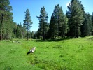 photo thumbnail #5