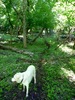 photo thumbnail #8