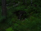 photo thumbnail #1