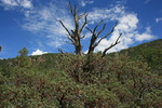 photo thumbnail #6