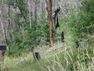 photo thumbnail #5
