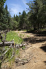 photo thumbnail #9