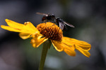 photo thumbnail #14