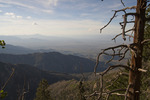 photo thumbnail #15